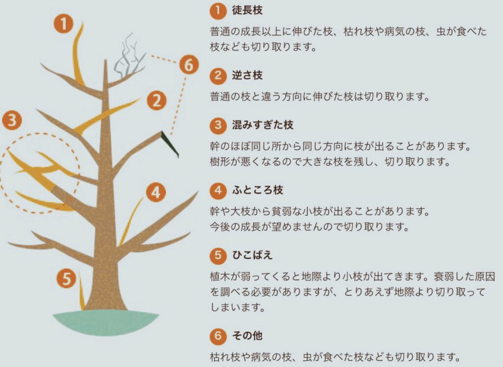 剪定のやり方の説明