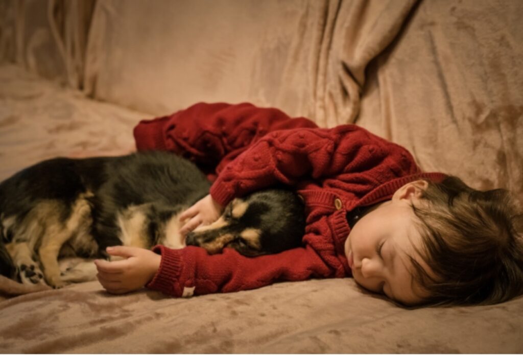 子供と犬が一緒に寝ている風景